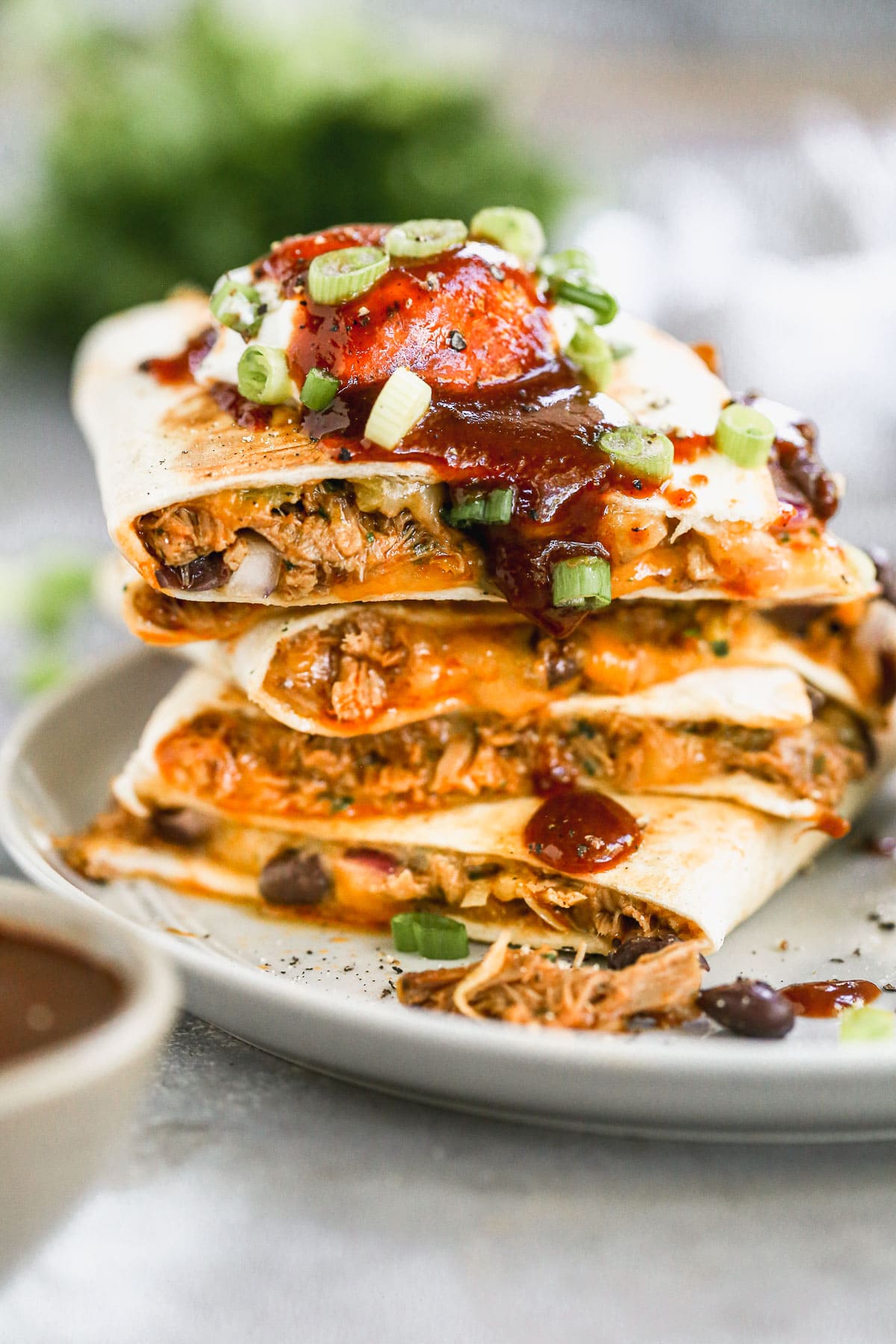 pulled pork quesadillas recipe - Article 3